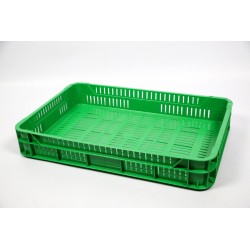 Skrzynka plastikowa na owoce miękkie 10 KG